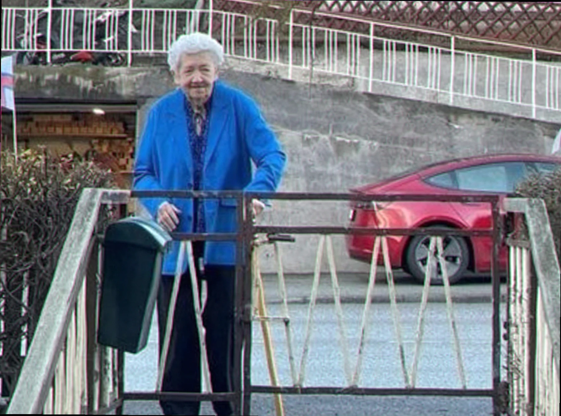 Løvtræ og nåletræ ved siden af hinanden