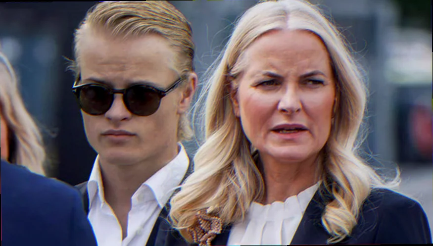Stakke af løvtræ under tag