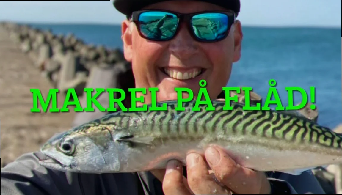 Nem makrel i tube opskrift